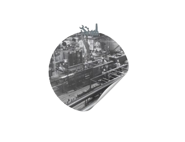 Overhaul and Operational Expansion in Dairy and Food Processing Lines